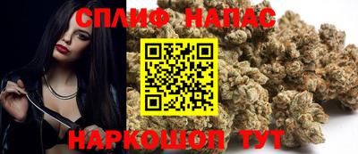 сатива Дубна